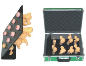 上海宸博宫颈病变与子宫病变教学模型 精准医疗教育的得力助手